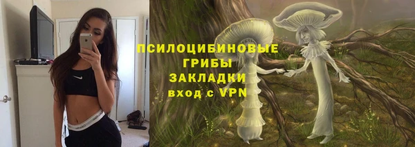 альфа пвп Дмитровск