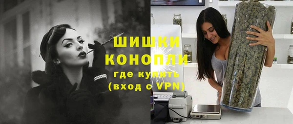 дмт Дмитров