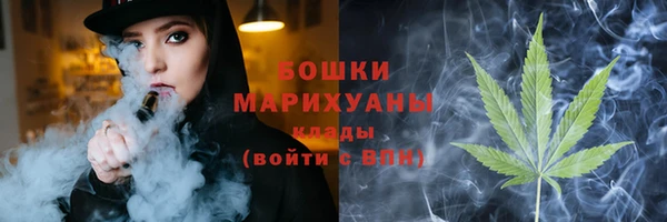 ECSTASY Дмитриев