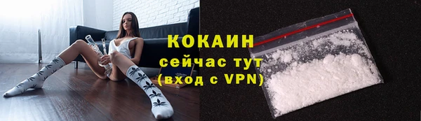 ECSTASY Дмитриев