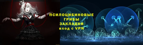 альфа пвп Дмитровск