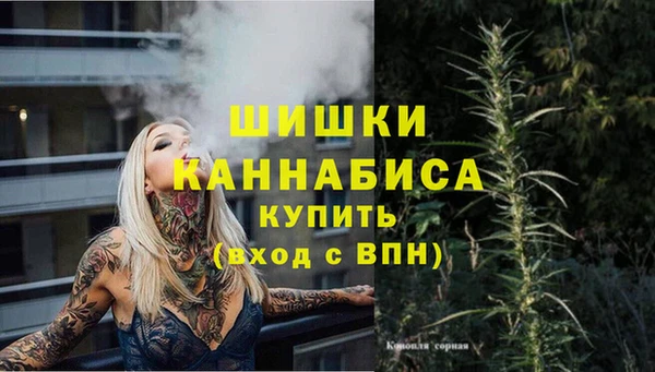 ECSTASY Дмитриев
