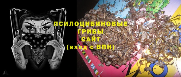 ECSTASY Дмитриев