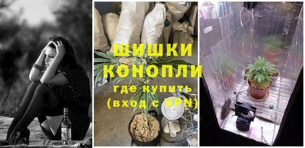 ECSTASY Дмитриев