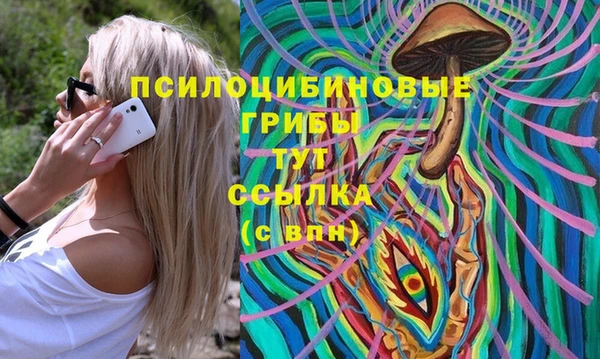 дмт Дмитров