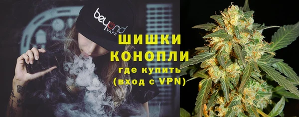дмт Дмитров