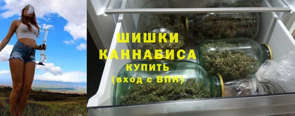 ECSTASY Дмитриев