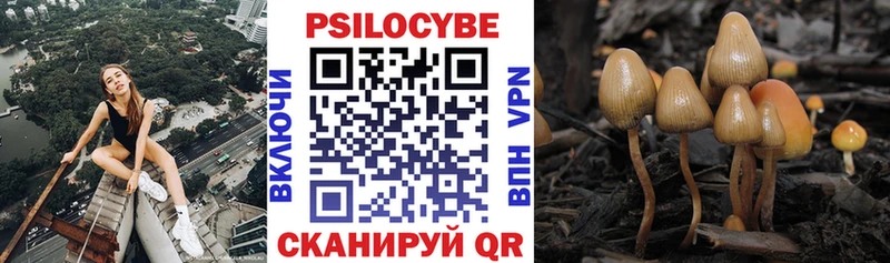 Купить где  Людиново  Галлюциногенные грибы Psilocybine cubensis 